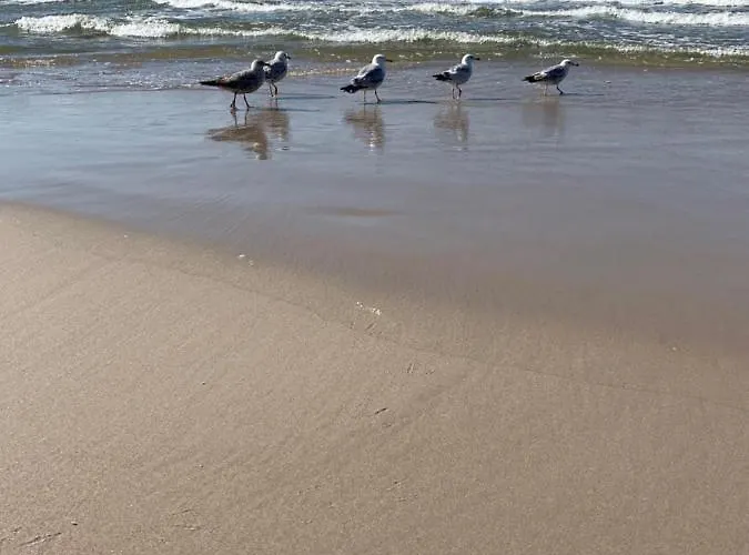 Nautical * Dziwnówek