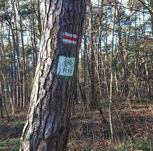 Nautical Apartamento